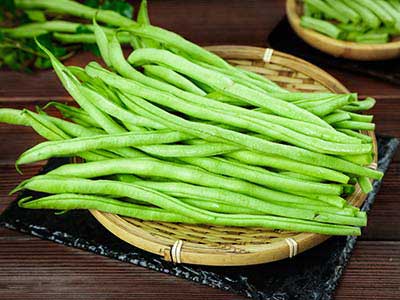 액체질소비료_11