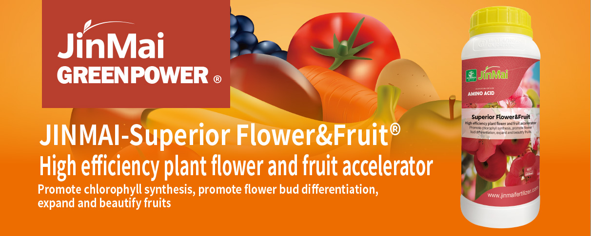 고효율 식물 꽃과 과일 촉진제 비료 _01