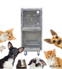 Venta caliente jaula de oxígeno para mascotas veterinaria de acero inoxidable WT-46 jaulas veterinarias para mascotas para perros