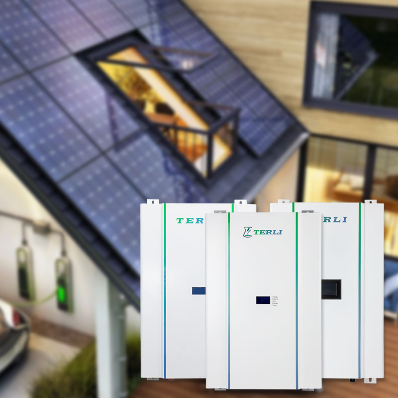 Batteria agli ioni di litio di alta qualità 48V 5kWh 100Ah OEM Powerwall Industrial