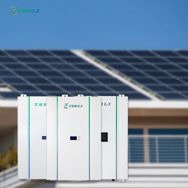 OEM 48V lithiumbatterij met lange levensduur