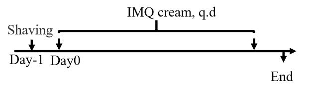 615e731f8c6c3d92e3221fcb8c31e4b