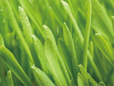 برنامه های کاربردی_04