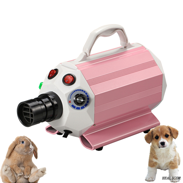 WET-003-1 Máy sấy tóc cầm tay 3 vòi có áp suất cao Ống linh hoạt cho thú cưng