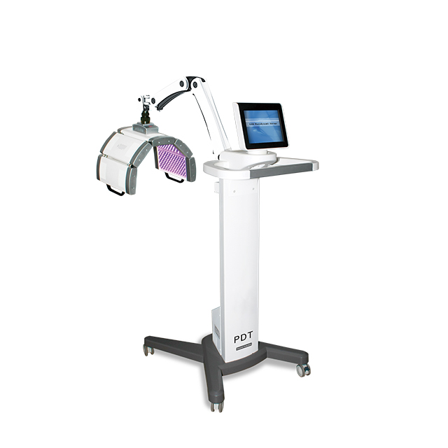 阿里巴巴 (主主)