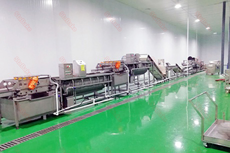 Línea de procesamiento de vegetales frescos en Australia