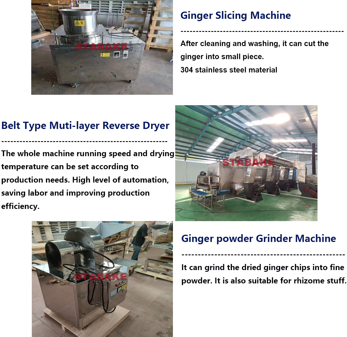 l&iacute;nea de jengibre en polvo