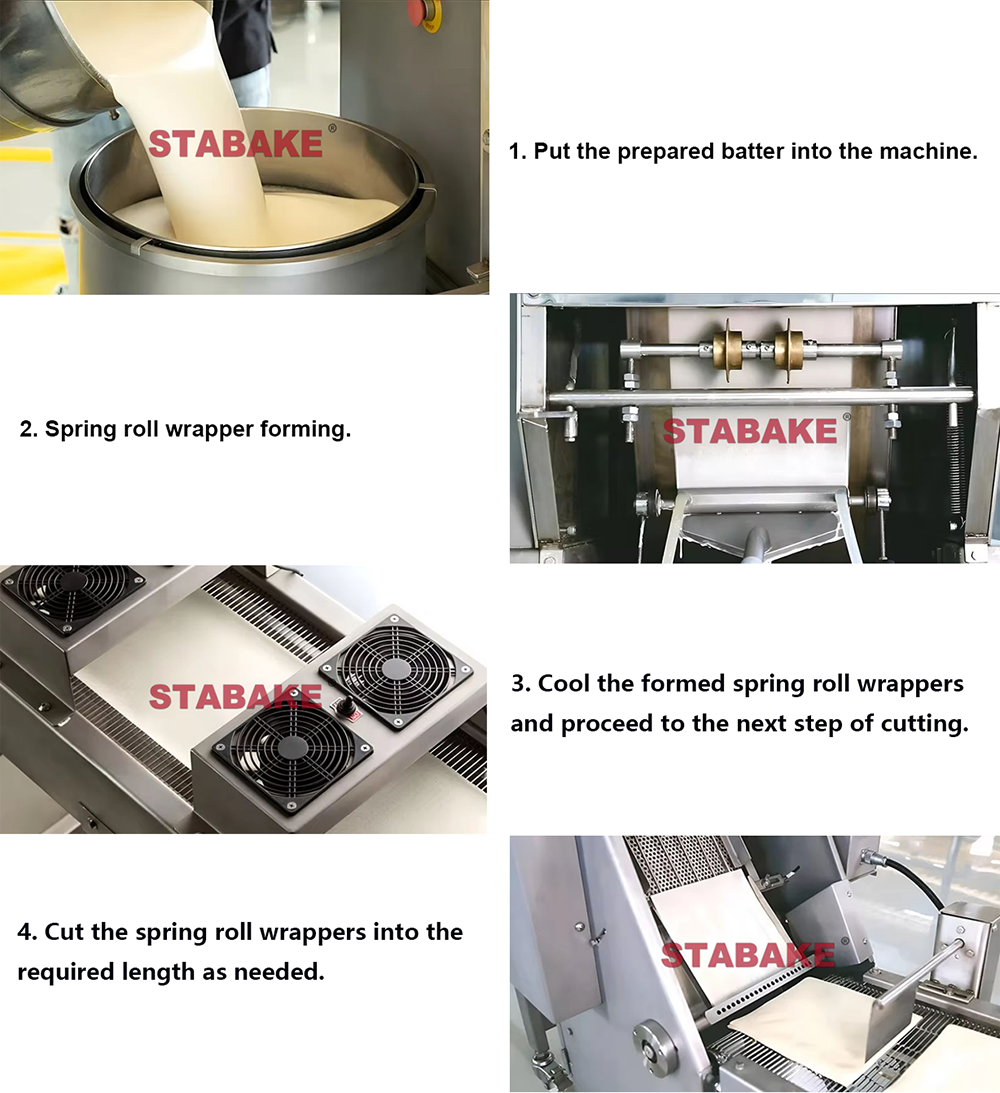 Detalles de la l&iacute;nea de producci&oacute;n de Spring Roll 01
