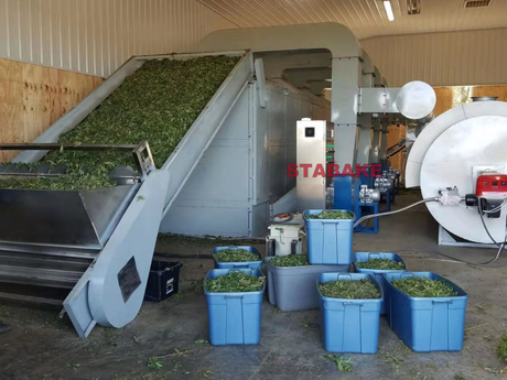 automatic hemp dryer machine manufacturer.jpg