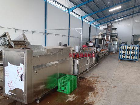 Konjac drying processing line.jpg