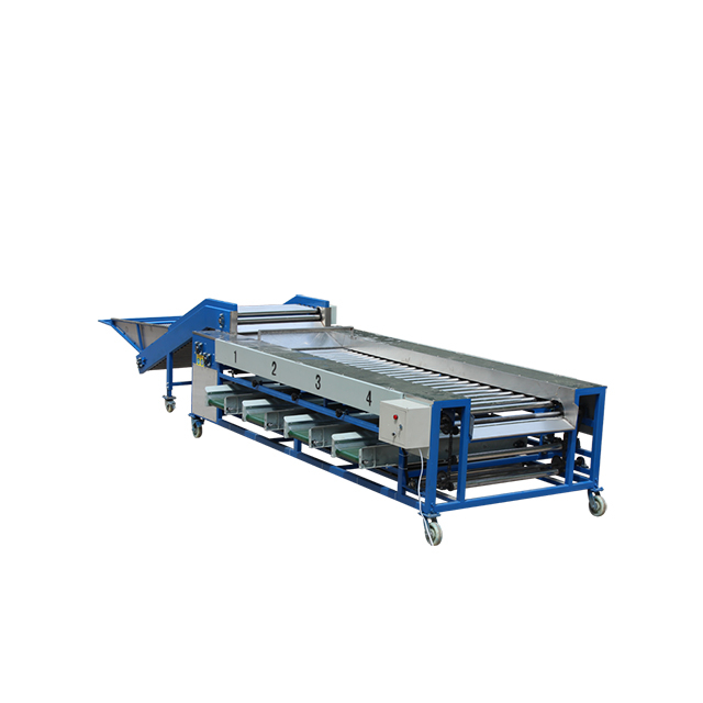 Máquina de clasificación de verduras y frutas