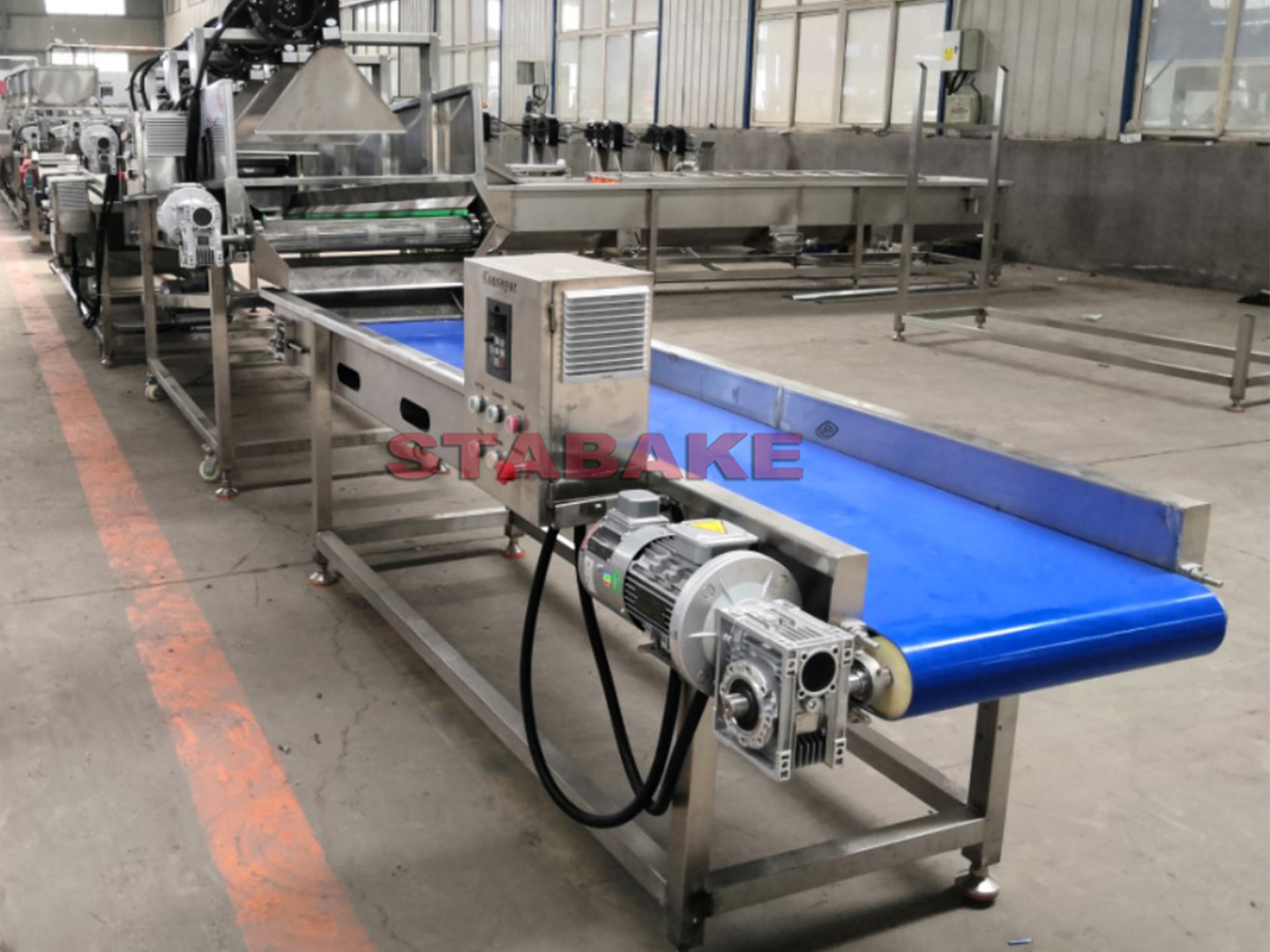 5.1 L&iacute;nea de selecci&oacute;n