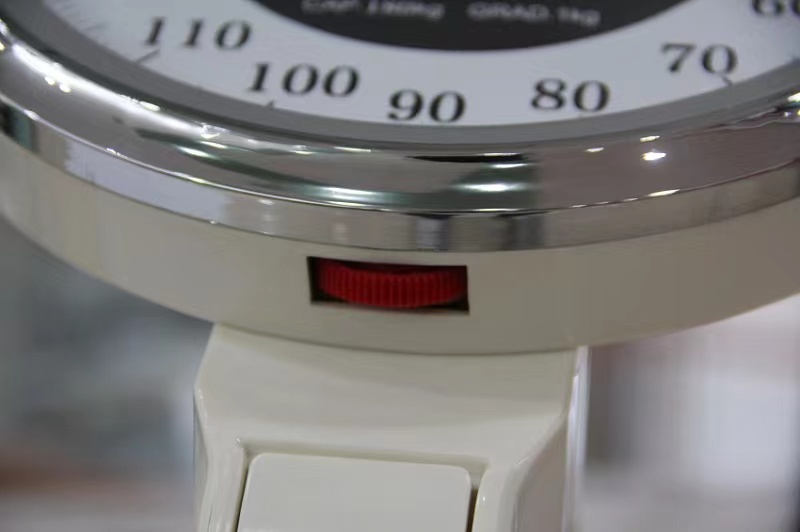 MS-A240 Platform Scales With Height Meter