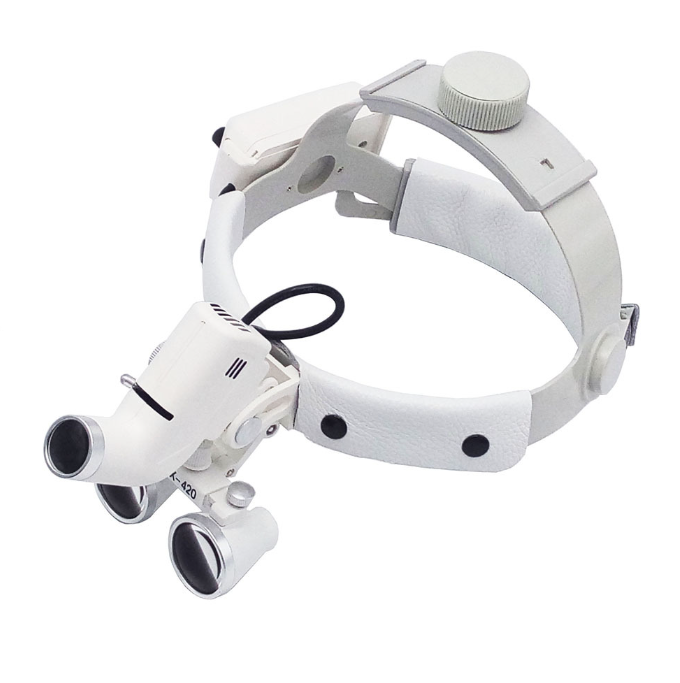 MS-H100 Head Light