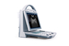MS-P1000V Veterinary B Mode Ultrasound Scanner