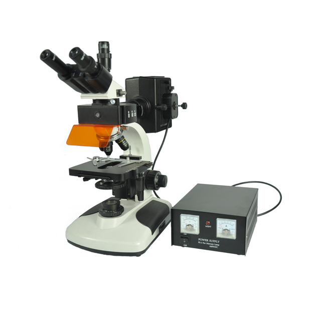 MS-FM2000 Fluorescent Microscope