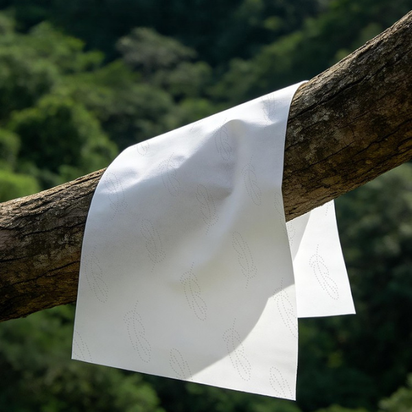 materiais ambientais-pulpa de madeira virxe 
