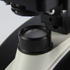 XSP-136E Biological Microscope 