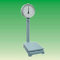 (MS-P100) Double Dial Platform Scales Weighting Scale