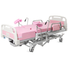 MS-GY100 Multi-Functional Electric Delivery Bed