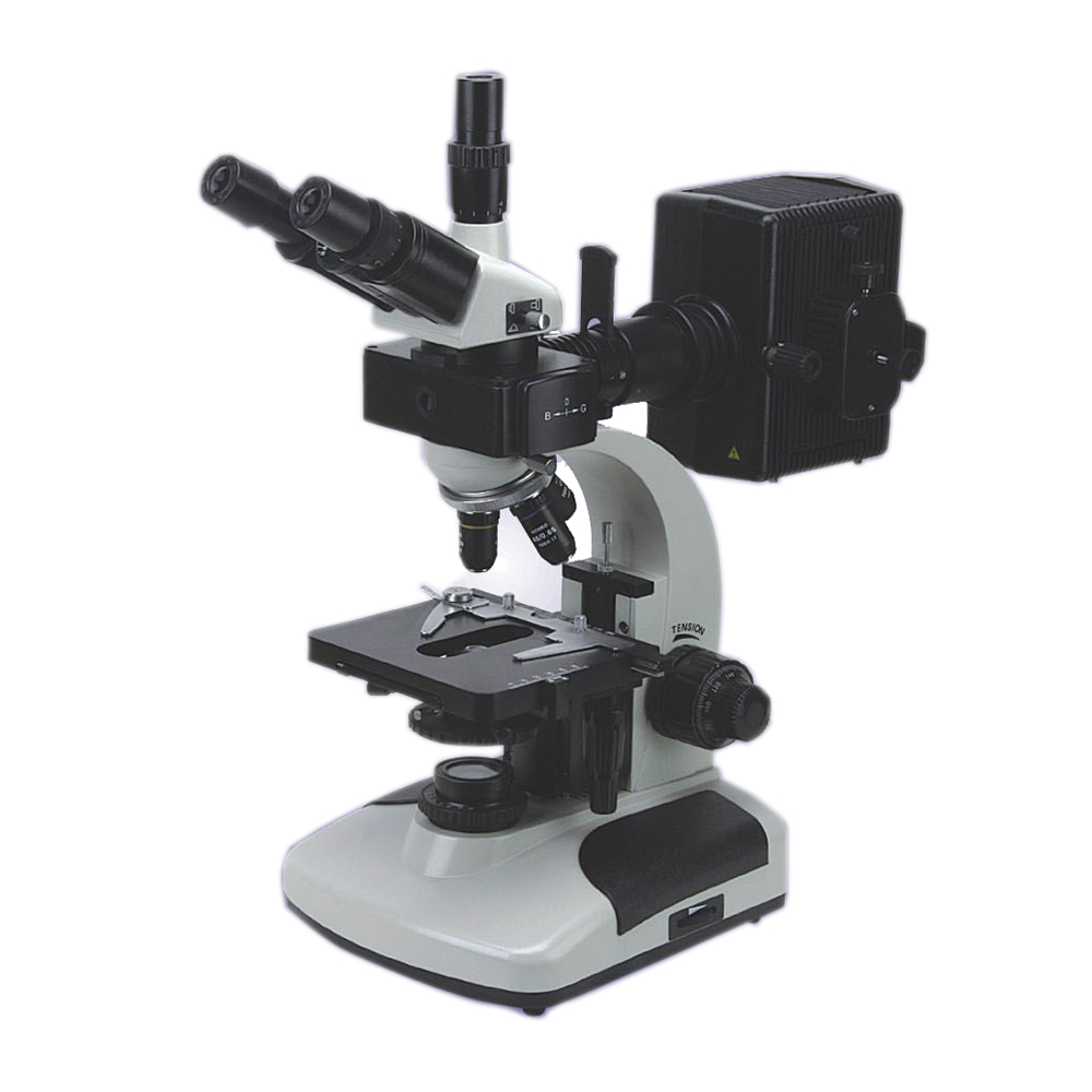 MS-FM2000 Fluorescent Microscope