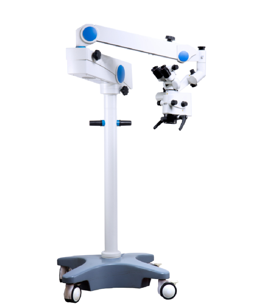 MS-D500