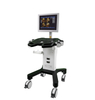 MS-T6600 Doppler Fully Digital black and white ultrasound Diagnostic System