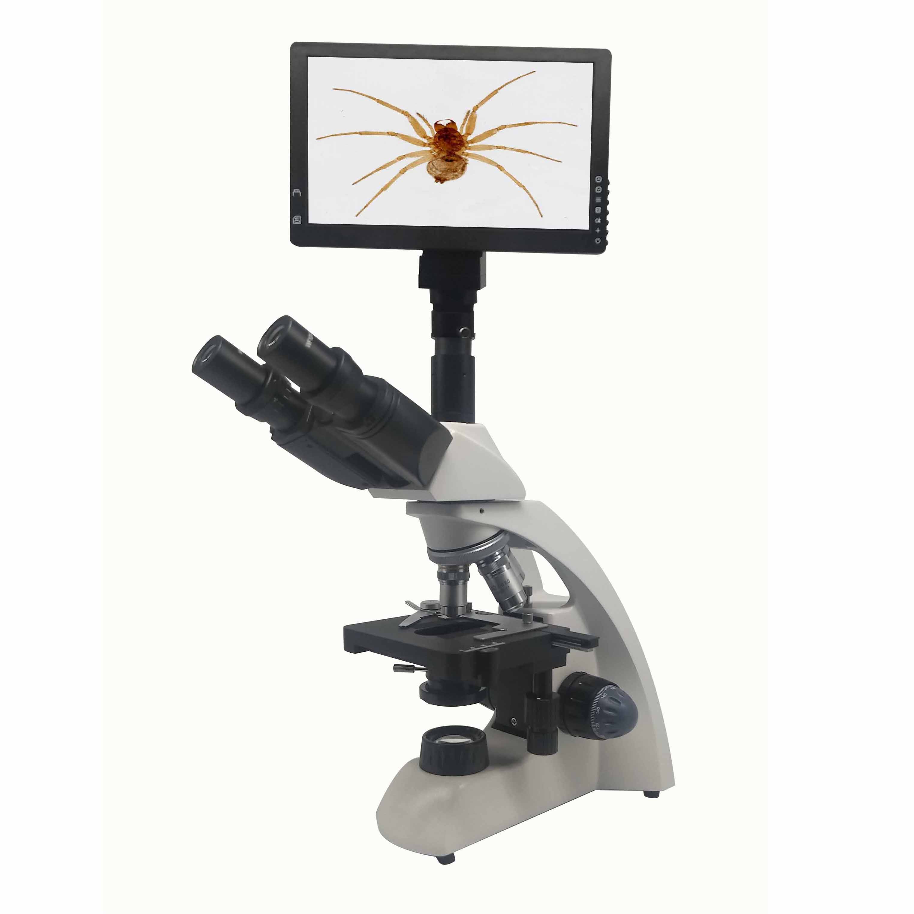 MS-M400 Video Biological Microscope 
