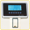 MS-A200 Platform Scales With Mat Cream Pole 
