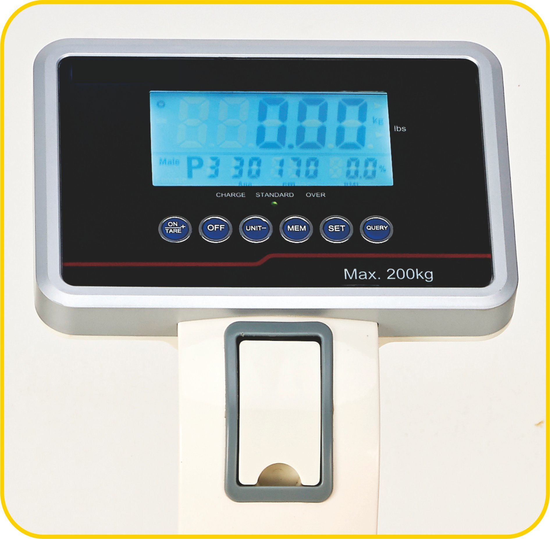 MS-A200 Platform Scales With Mat Cream Pole 
