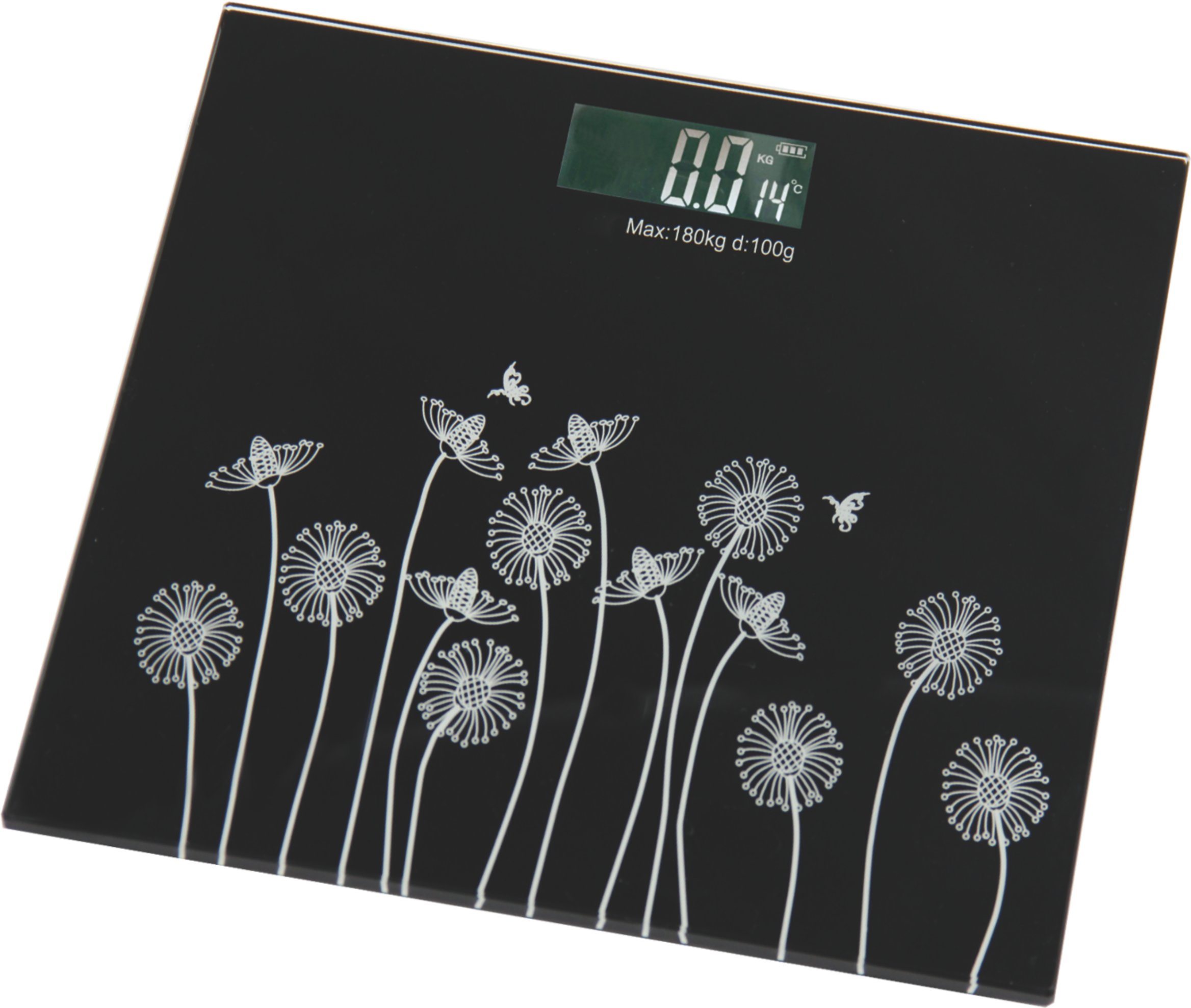 MS-E230 Electronic Glass Scales