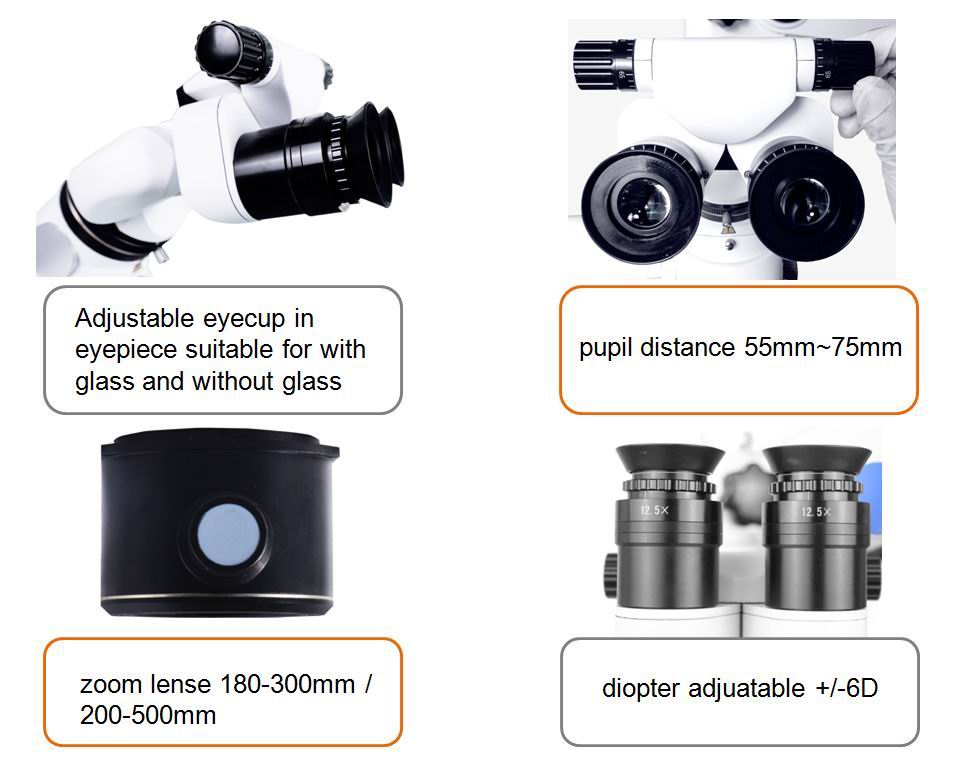  MS-D500 Dental Operation Microscope