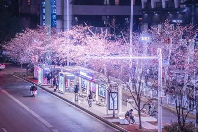 Bussikatos, joka vangitsee Wuhanin kev&auml;t_8.jpg