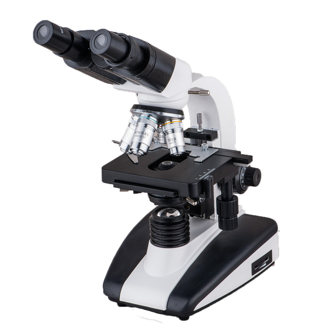 XSP-136E Biological Microscope 