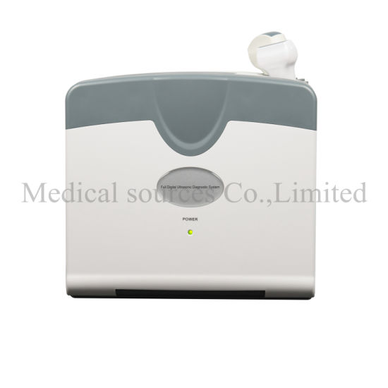 (MS-P800V) Escáner de ultrasonido portátil portátil médico para veterinaria