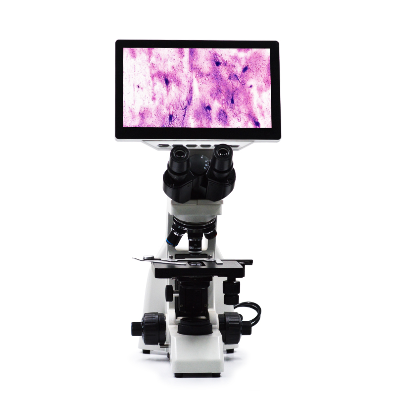 MS-B1600 Video Digital Biological Microscope 