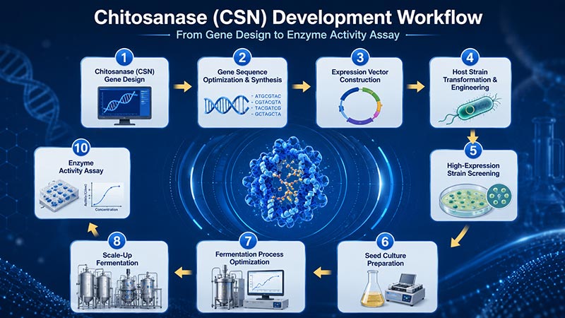Von der Gentechnik zur industriellen Produktion – JINMAI Biotech erzielt Durchbruch bei der Herstellung von Chitosanase (CSN)_01.jpg